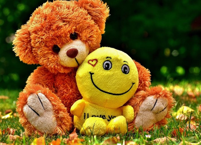 Teddy Cute Smiley Love Soft Toy Teddy Bear Plushaint